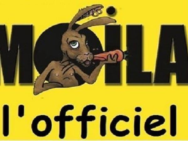 Festival Grat'Moila 2027