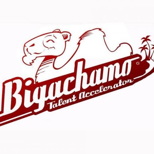 Bigachamo 1
