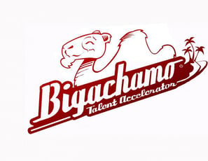 Bigachamo
