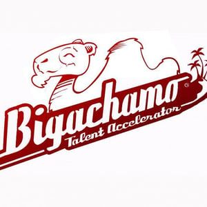 Bigachamo