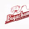 Bigachamo