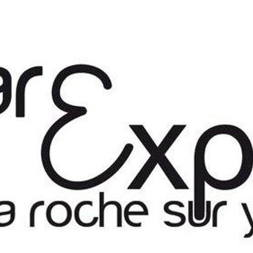 Parc des expositions La Roche sur Yon 1
