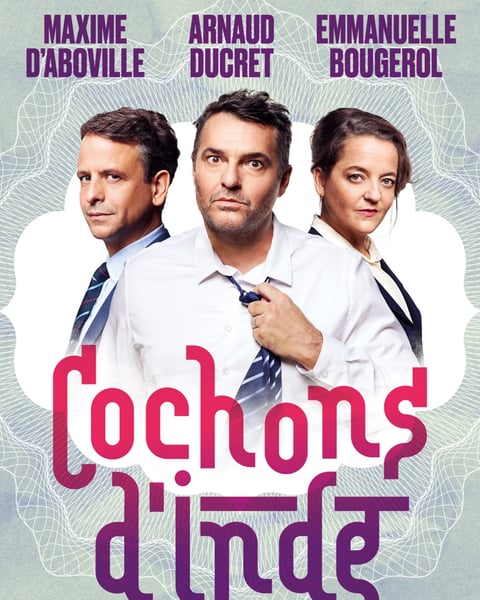 Cochon d'Inde