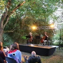 Vibrato célèbre la musique au cœur du musée