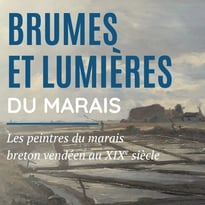 Brumes et lumières du marais