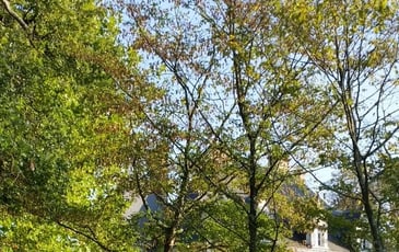 Visite d'un parc du 19ème siècle