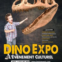 Dino Expo