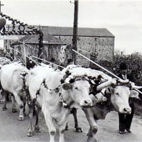 Exposition de cartes postales et photographies anciennes, La Chaize-le-Vicomte