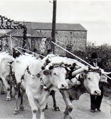 Exposition de cartes postales et photographies anciennes, La Chaize-le-Vicomte
