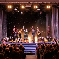 Le Show Final avec les vainqueurs du concours d'humour