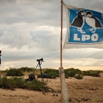 Sur l'itinéraire des oiseaux migrateurs : la Pointe de l'Aiguillon