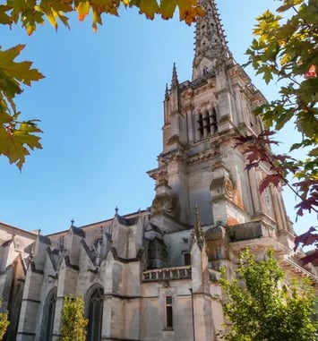 Visite de la cathédrale et du cloître