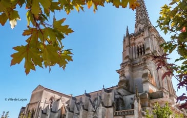 Visite de la cathédrale et du cloître