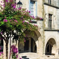 Fleurs et patrimoine : un nouveau regard sur la ville