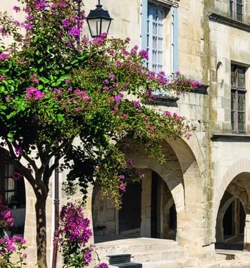 Fleurs et patrimoine : un nouveau regard sur la ville
