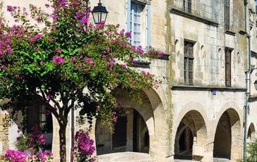 Fleurs et patrimoine : un nouveau regard sur la ville