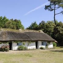 Visites et animations à la Bourrine du Bois Juquaud