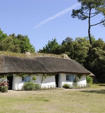 Visites et animations à la Bourrine du Bois Juquaud