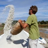Visites guidées des marais salants de la Vie