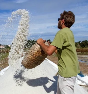 Visites guidées des marais salants de la Vie