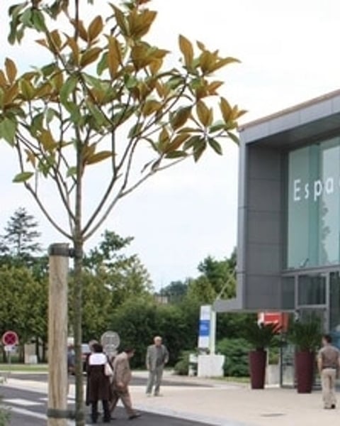 Espace Culturel George Sand La Mothe Achard