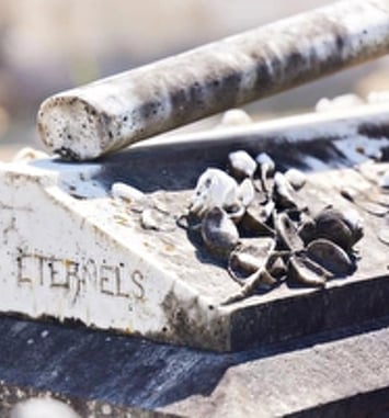 Visite guidée : L'art funéraire, le cimetière Arago