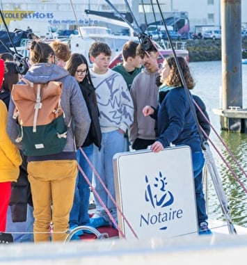 L'Imoca T One One