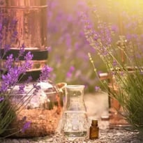 Secrets de distillation