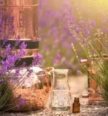 Secrets de distillation