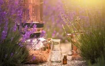 Secrets de distillation