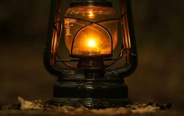 Visite au crépuscule : d'Ardelay au Boistissandeau