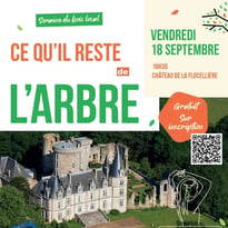 Ce qu'il reste de l'arbre
