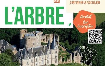 Ce qu'il reste de l'arbre