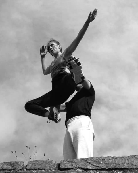 Un spectacle que la loi considérera mien + Swan Lake Solo