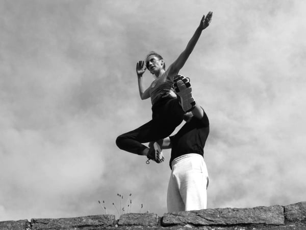 Un spectacle que la loi considérera mien + Swan Lake Solo